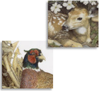 New Wildlife Prints