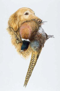 click to enlarge Abigail's Prize -- Wildlife Art by Cary Savage-Ingram