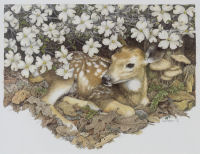 Blossom -- Wildlife Art by Cary Savage Ingram