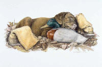 click to enlarge Break Time Sculpture with Cocoa Break Print -- Wildlife Art by Cary Savage Ingram