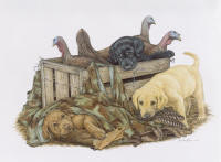 click to enlarge Goblins -- Wildlife Art by Cary Savage Ingram