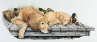 click to enlarge Golden Memories -- Wildlife Art by Cary Savage Ingram