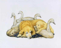 click to enlarge Papa's Treasures -- Wildlife Art by Cary Savage Ingram