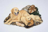 click to enlarge Reel Love -- Wildlife Art by Cary Savage-Ingram
