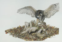 click to enlarge Skedaddle -- Wildlife Art by Cary Savage Ingram