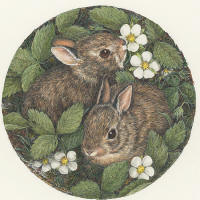 click to enlarge Snuggles -- Wildlife Art by Cary Savage Ingram