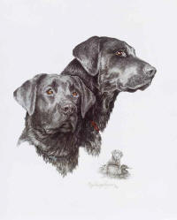 click to enlarge Tar Babies -- Wildlife Art by Cary Savage-Ingram