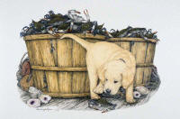 click to enlarge Z-Pinch -- Wildlife Art by Cary Savage-Ingram