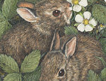 "Snuggles" is one of Cary's newest prints.